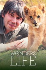 Wonders of Life