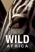 Wild Africa