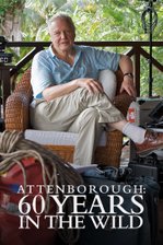 Attenborough - 60 Years in the Wild