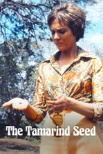 The Tamarind Seed