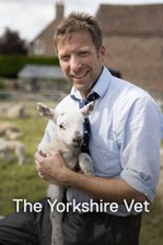 The Yorkshire Vet
