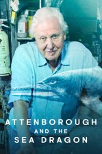 Attenborough and the Sea Dragon