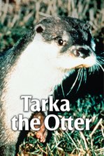 Tarka the Otter