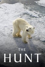 The Hunt