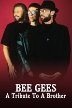 Bee Gees - A Tribute To A Brother