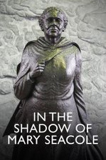 In the Shadow of Mary Seacole