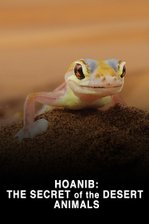 Hoanib: The Secret of the Desert Animals