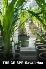 The CRISPR Revolution