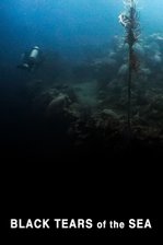 The Black Tears of the Sea - The Lethal Legacy of Wrecks