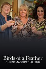 Birds of a Feather Christmas Special 2017: House for the Rising Sons