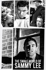 The Small World of Sammy Lee