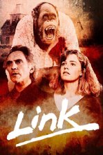 Link