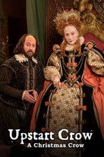 A Christmas Crow