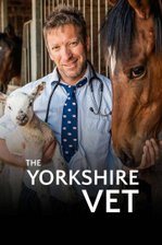 The Yorkshire Vet