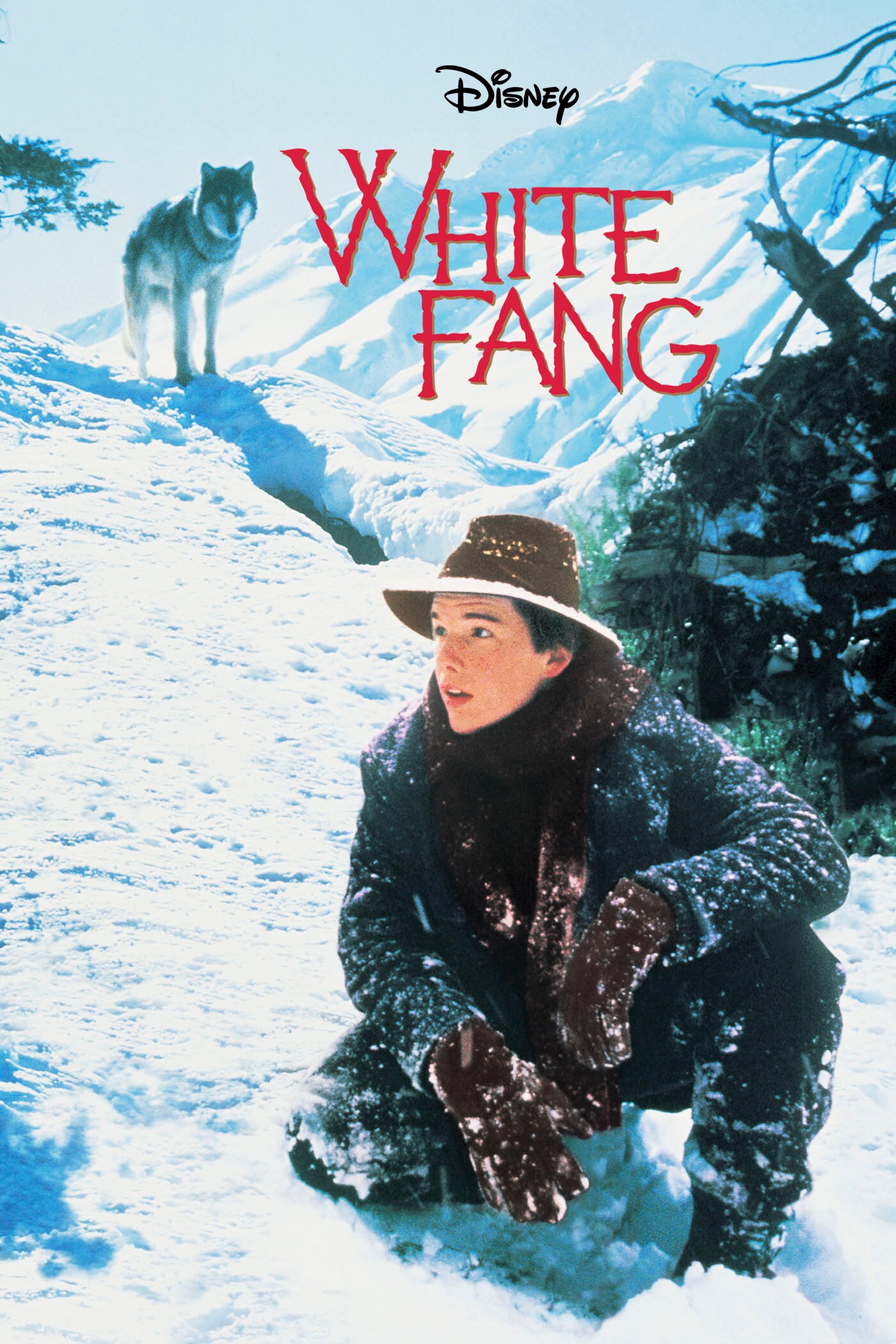 White Fang