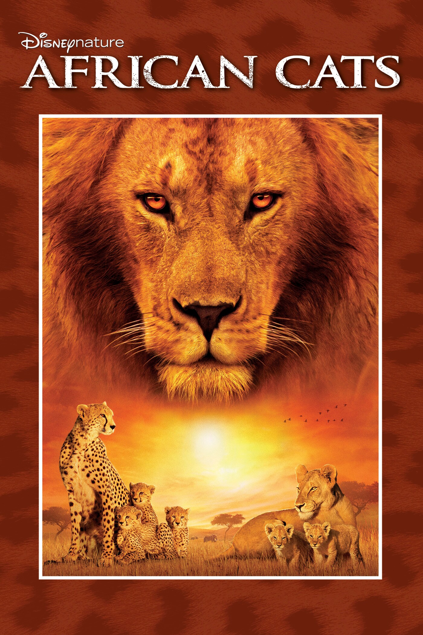 Disneynature: African Cats