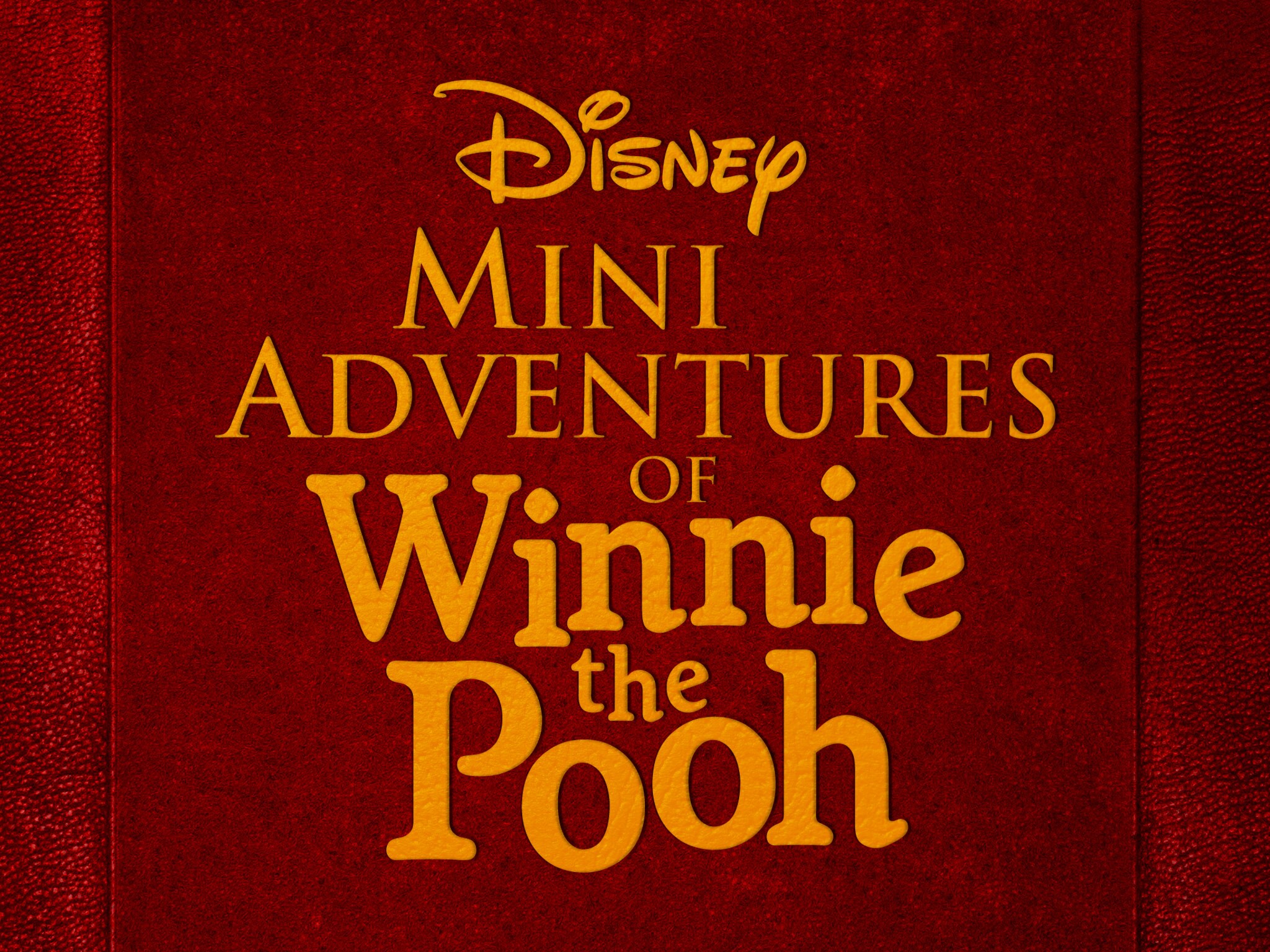 Mini Adventures of Winnie The Pooh