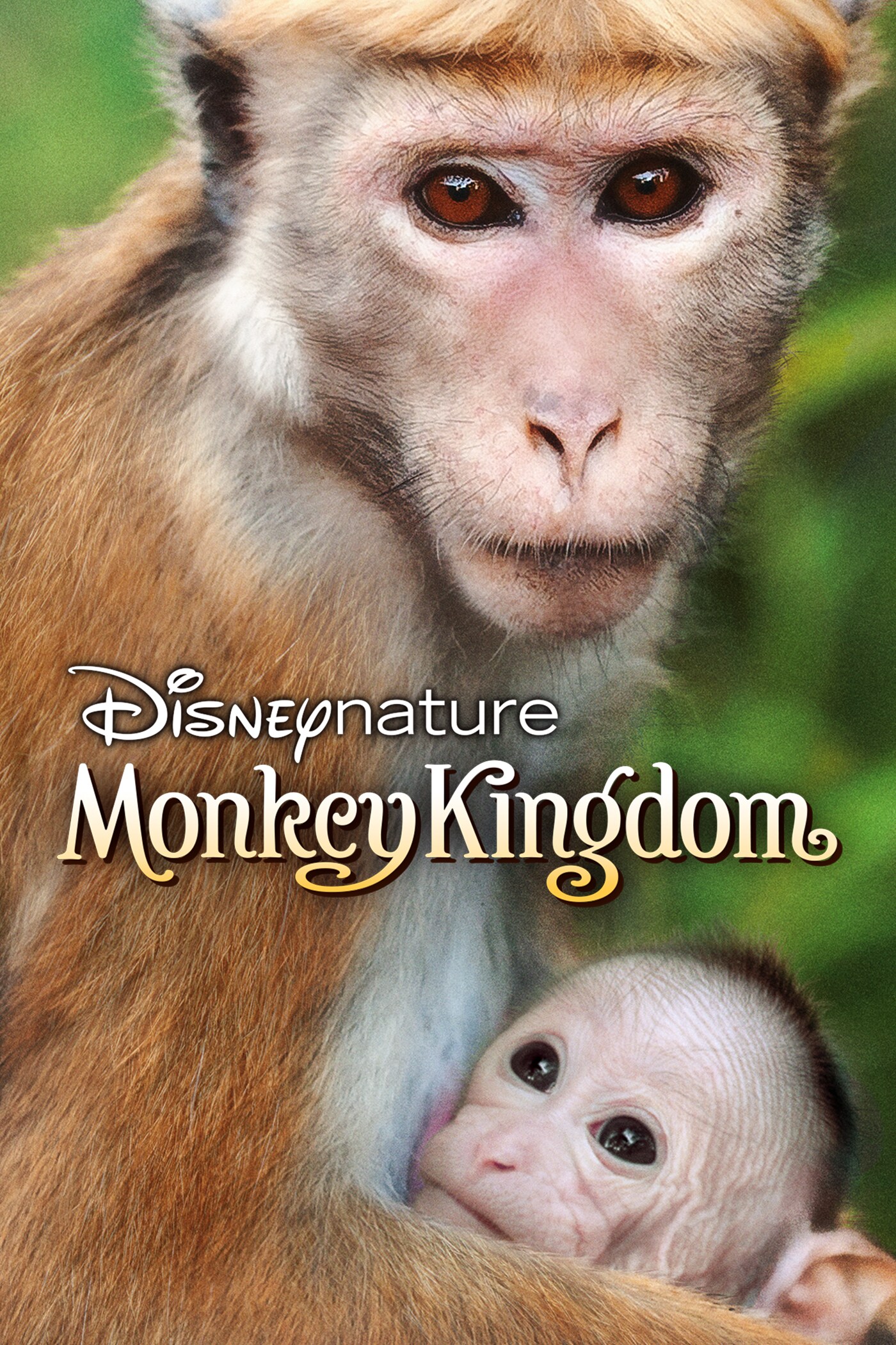 Disneynature: Monkey Kingdom