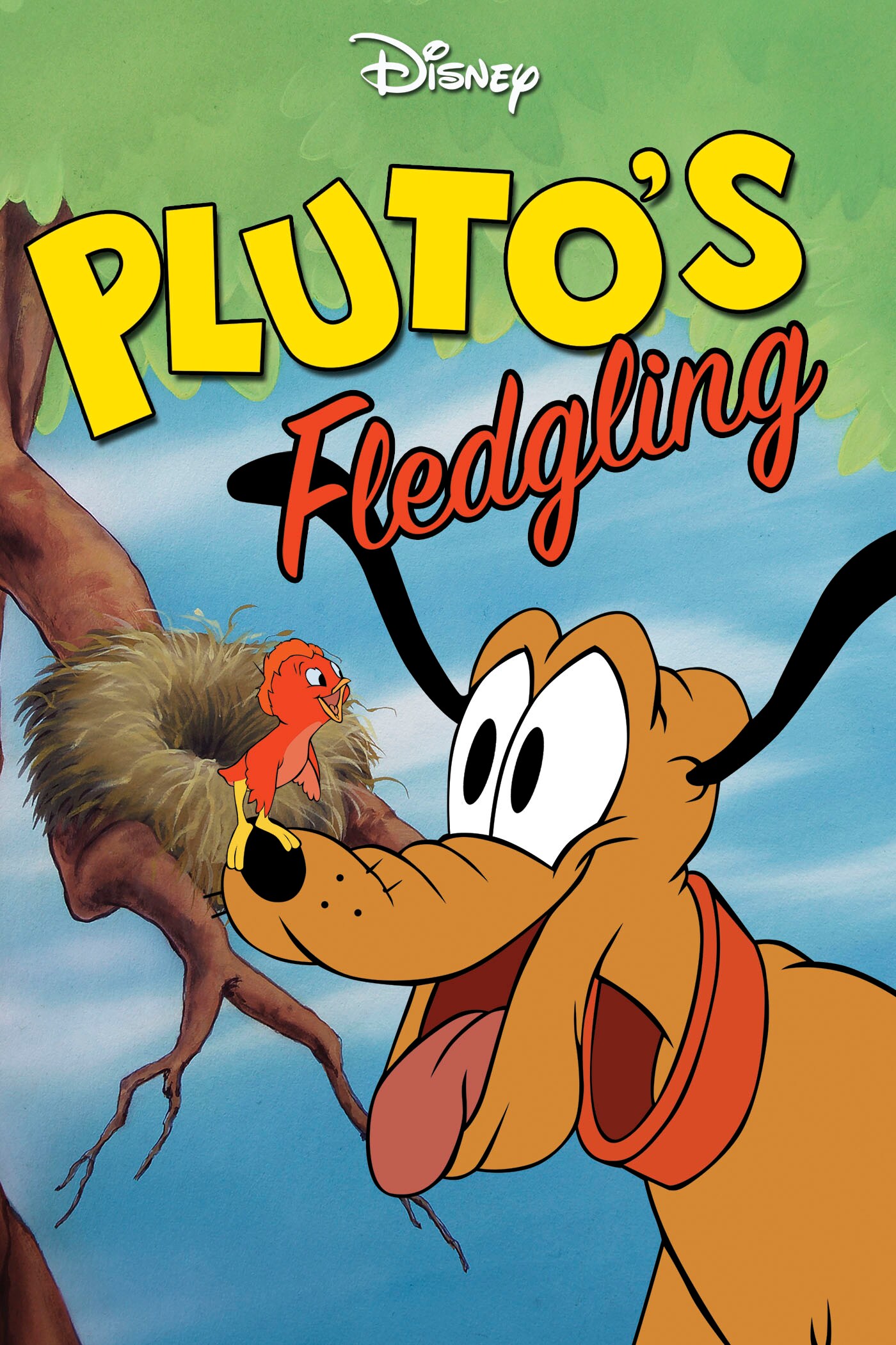 Pluto's Fledgling