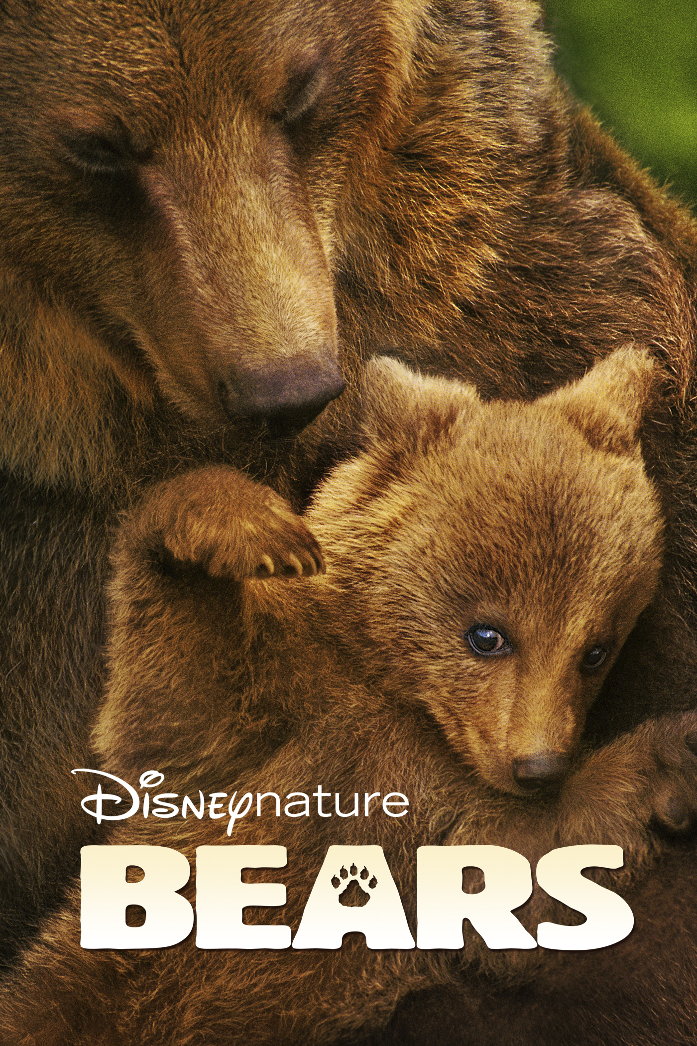 Disneynature: Bears