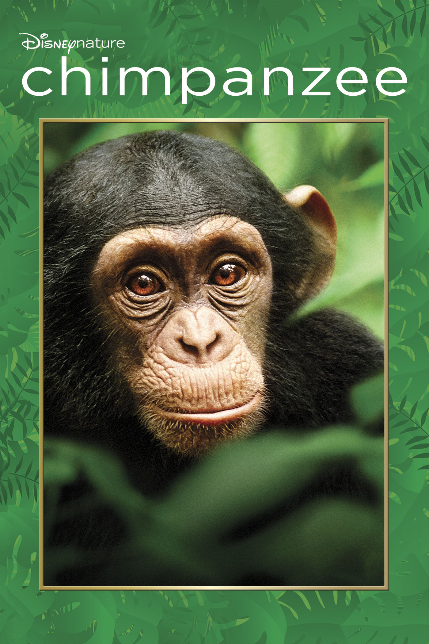 Disneynature: Chimpanzee