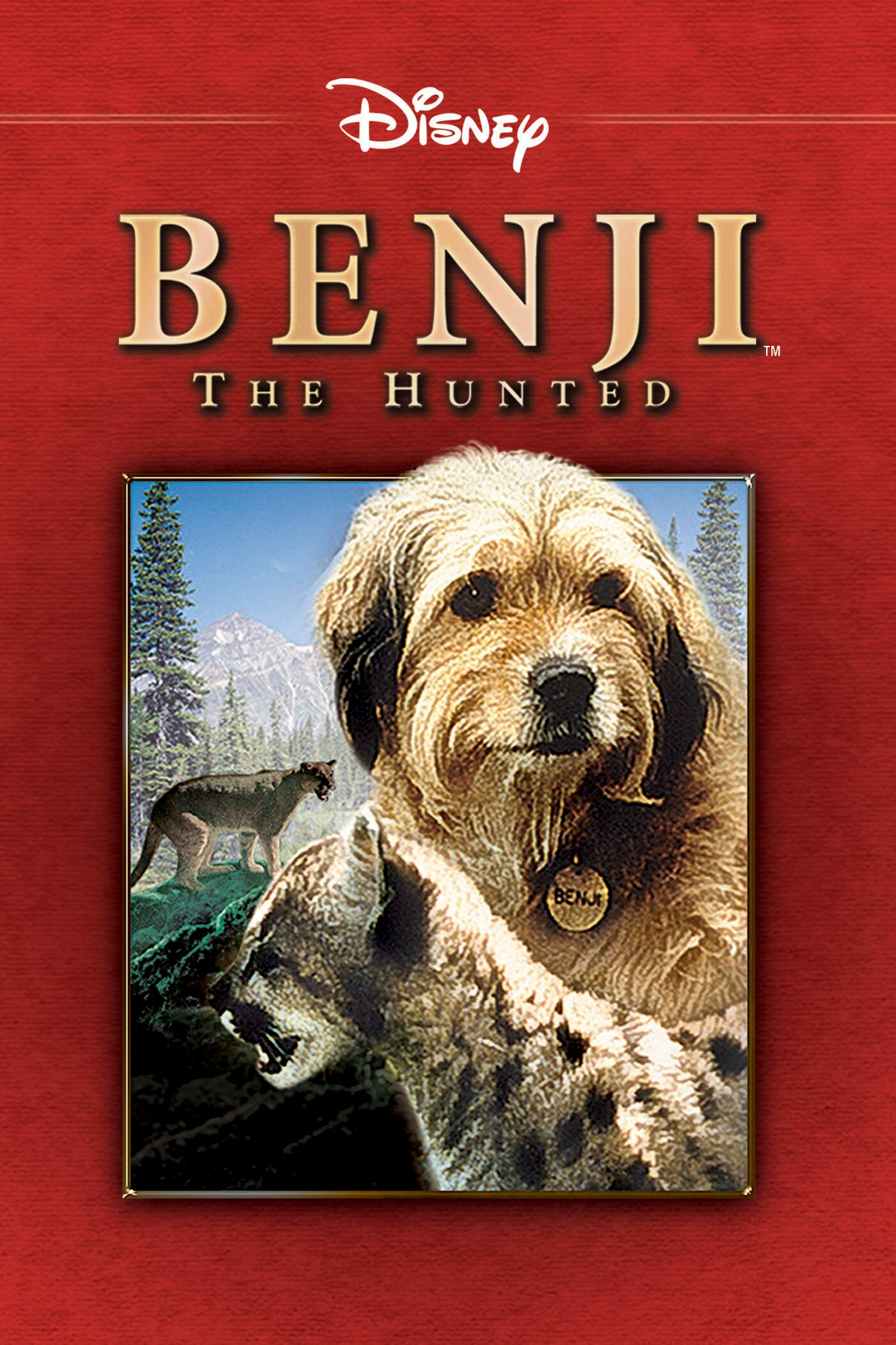 Benji the Hunted