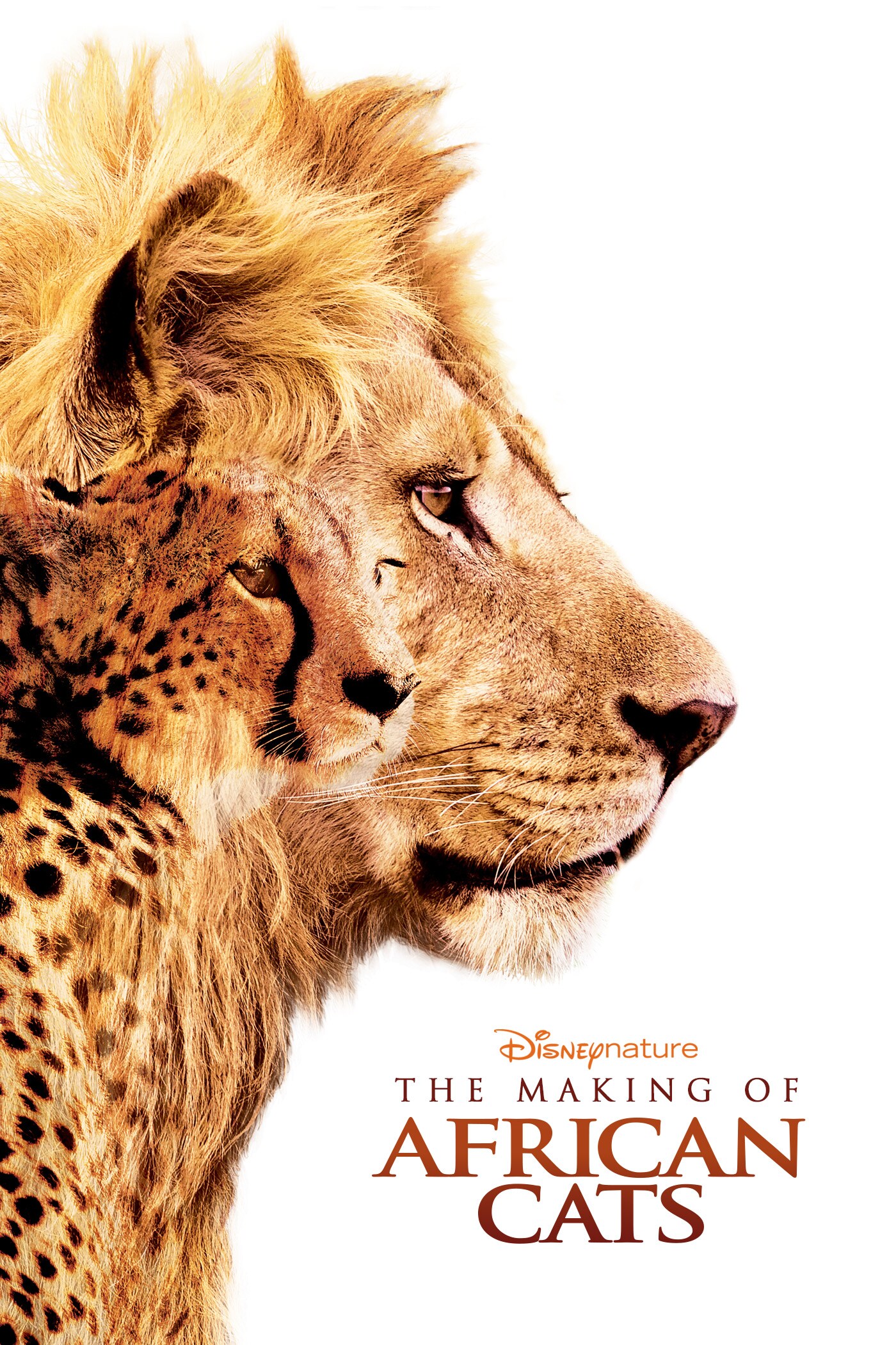 Disneynature: The Making of African Cats