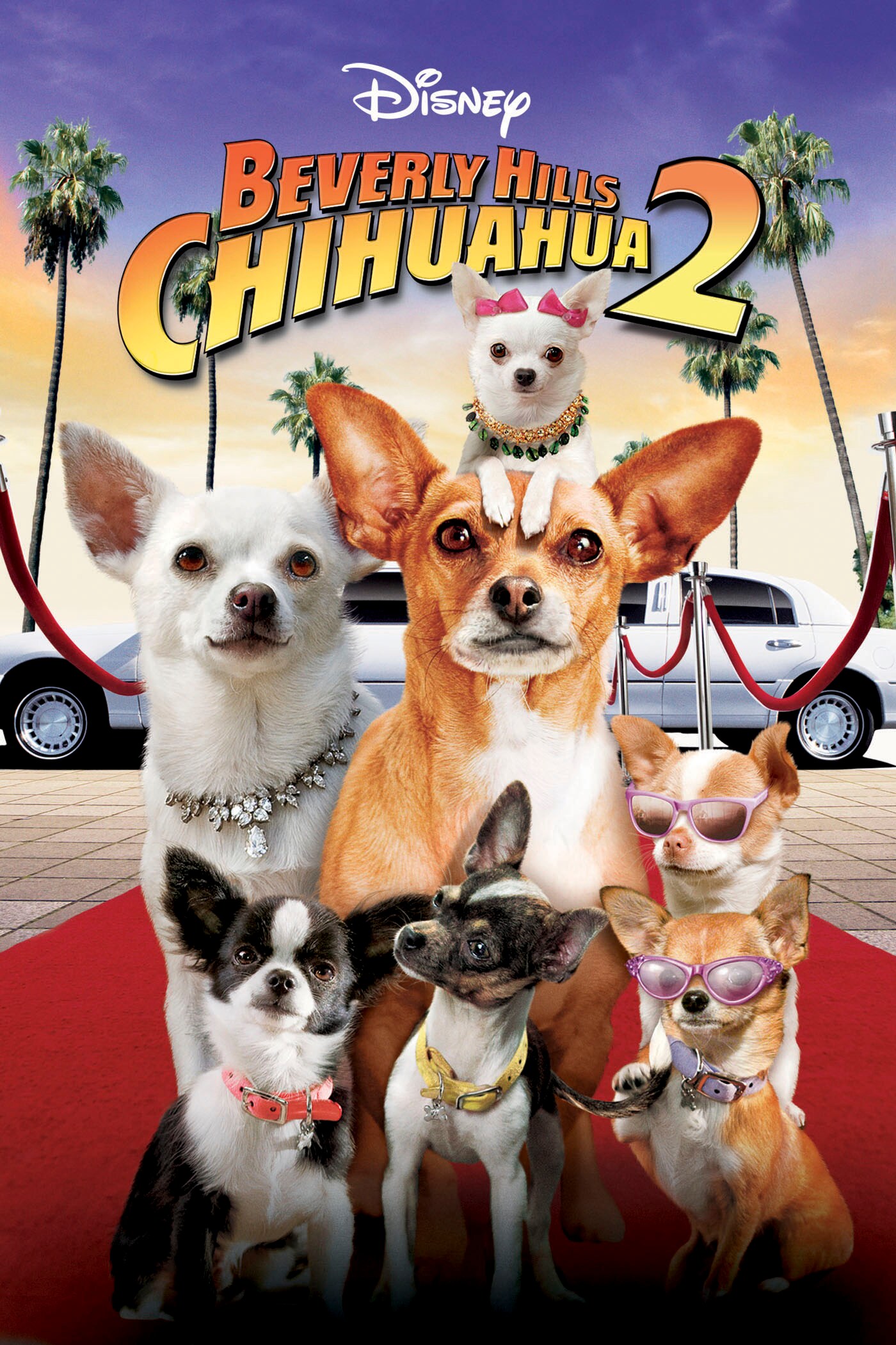 Beverly Hills Chihuahua 2