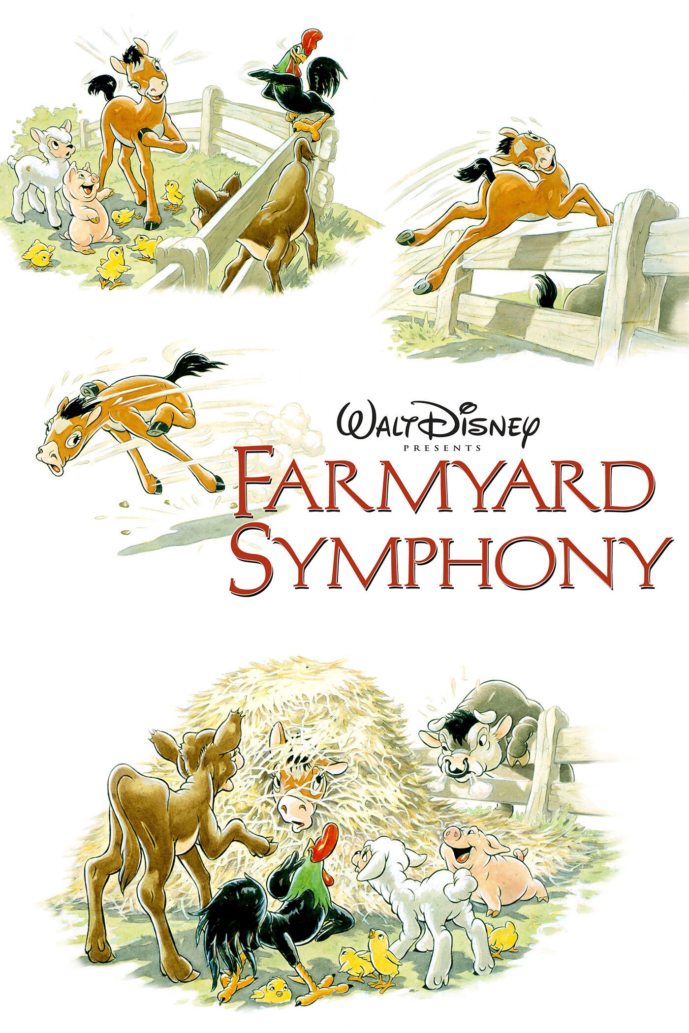 Farmyard Symphony