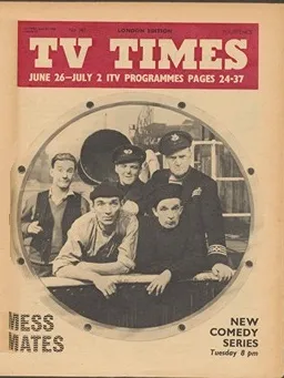 Vol. 19 No. 243 Vol. 19 No. 243