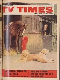 Vol. 38 No. 489 Vol. 38 No. 489